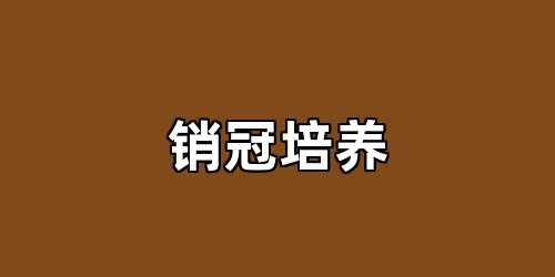 销冠培养