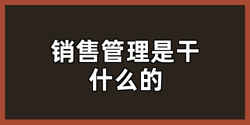 销售管理是干什么的